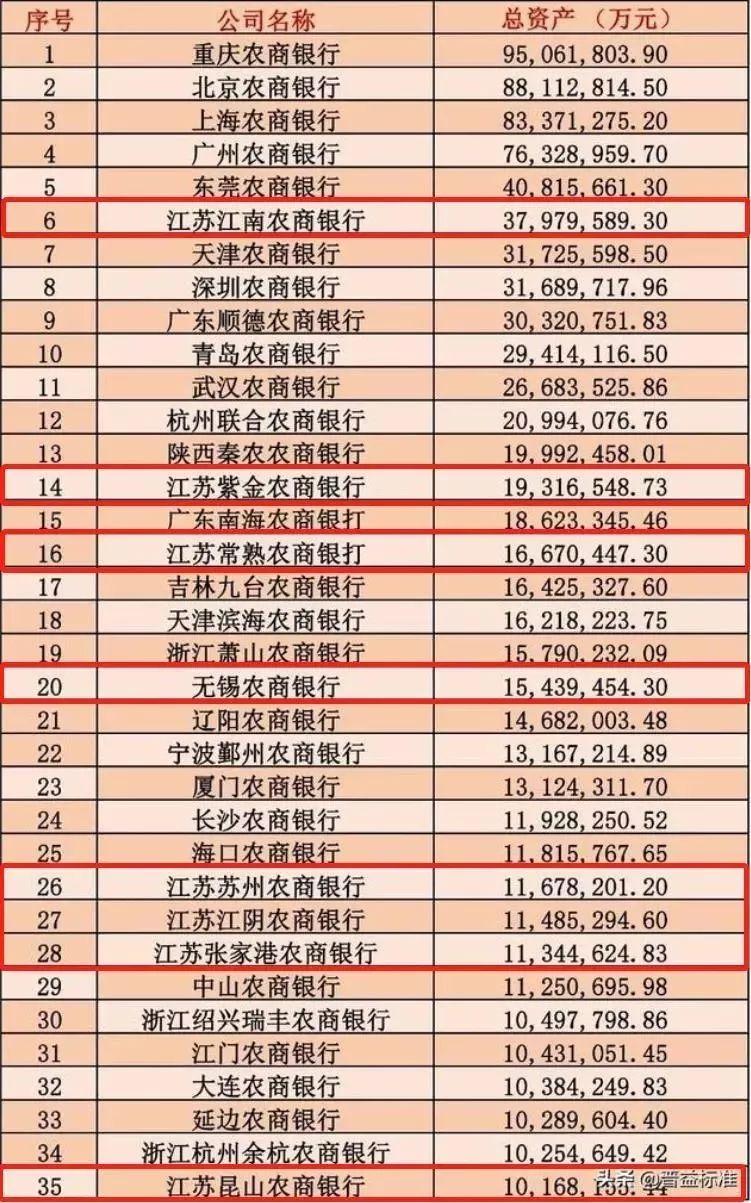 大丰区最新地图揭示区域发展与地理特征的融合之道